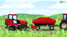 Traktor - Pracowity Traktorki Zbierać Zniwa | Bajki dla dzieci po polsku