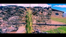 Tomorrowland Aventura Treking in Huaraz Peru Ruinas de Wilcahuain Huaraz in Peru 4K