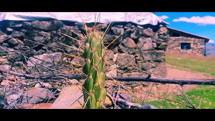 Tomorrowland Aventura Treking in Huaraz Peru Ruinas de Wilcahuain Huaraz in Peru 4K