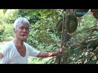 ဒူးရင္းစုိက္ပ်ဳိးေရး အပုိင္း (၅)