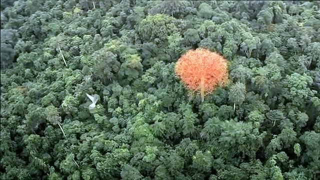 Perfume original Hermes