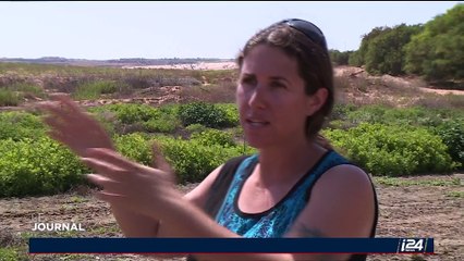 Crise de l’électricité à Gaza: les habitants partagés entre colère et inquiétude