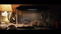 HDTrailer - Split Official Trailer 1 (2017)