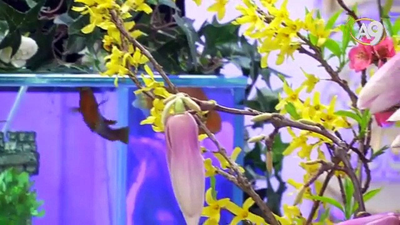 TEVRATTA AHİRZAMAN