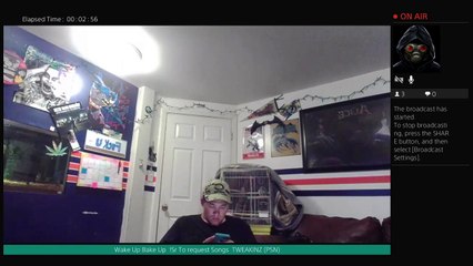 Fidget spinners & Fat Bitches (250)