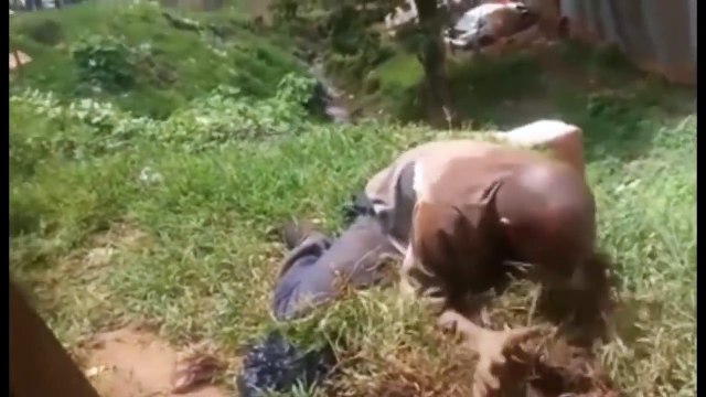 Video- Kenyan Man Starts Eating Grass After He was Bewitched (Black Magic is Real)