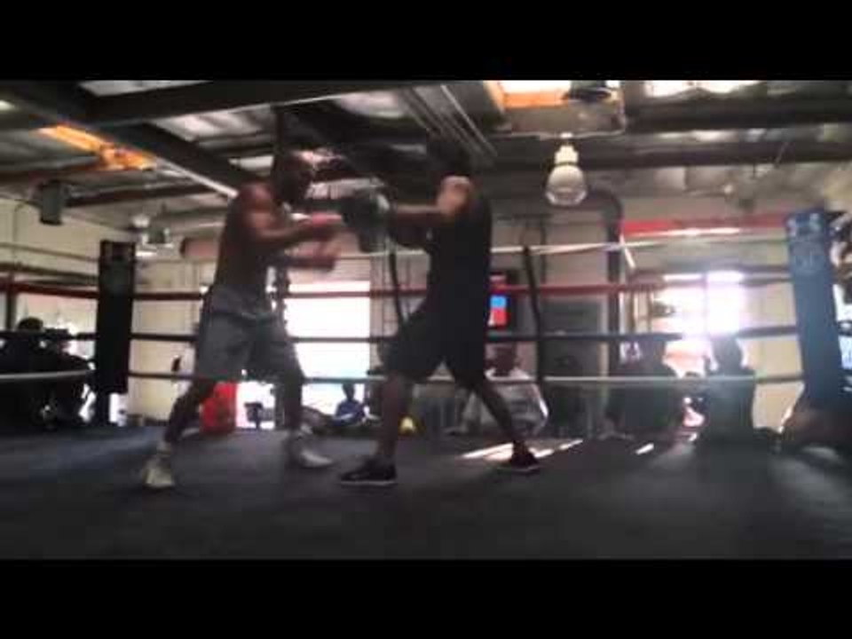 Beltran Mits NEW