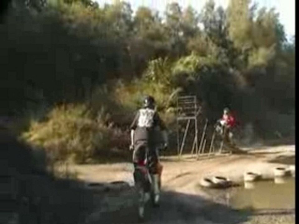 Freestyle