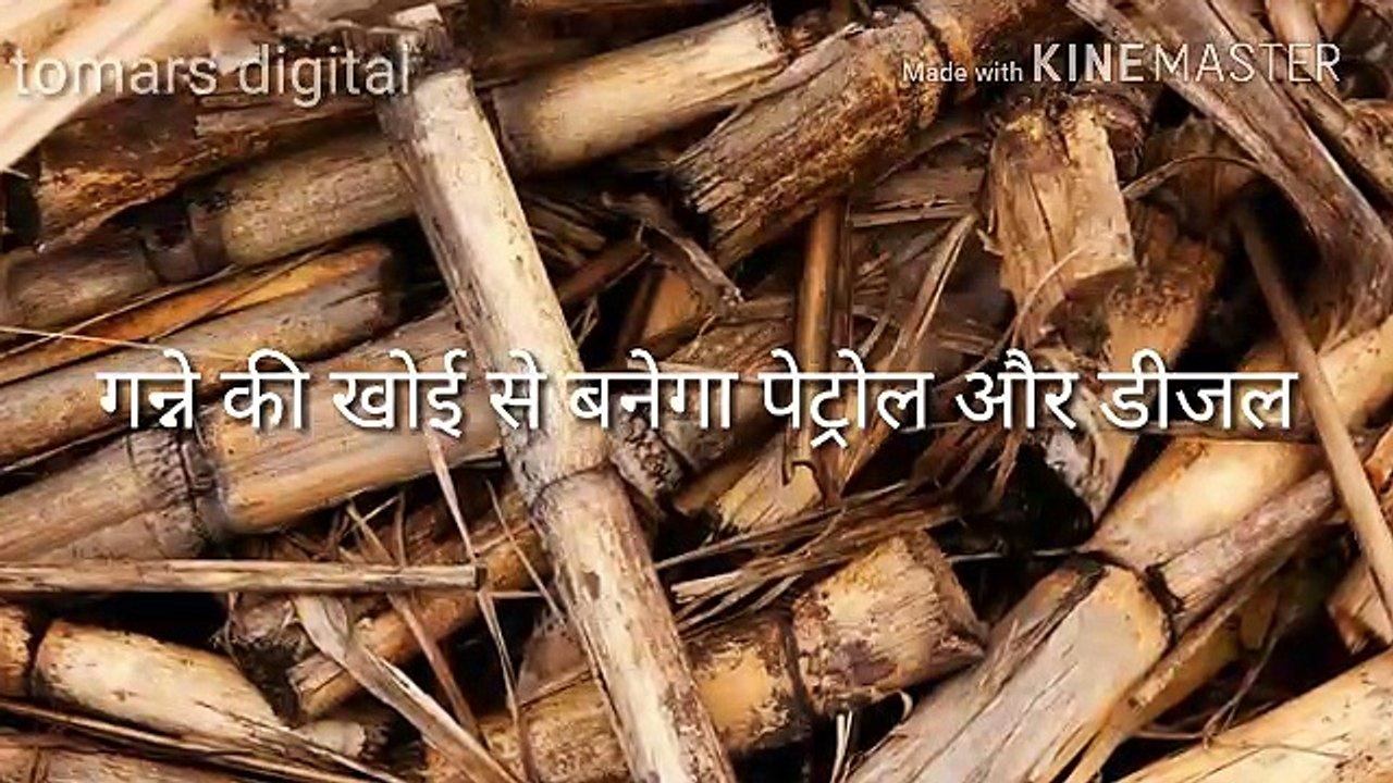 गन्ने की खोई से बन रहा है पेट्रोल डीजल, जानिए कैसे