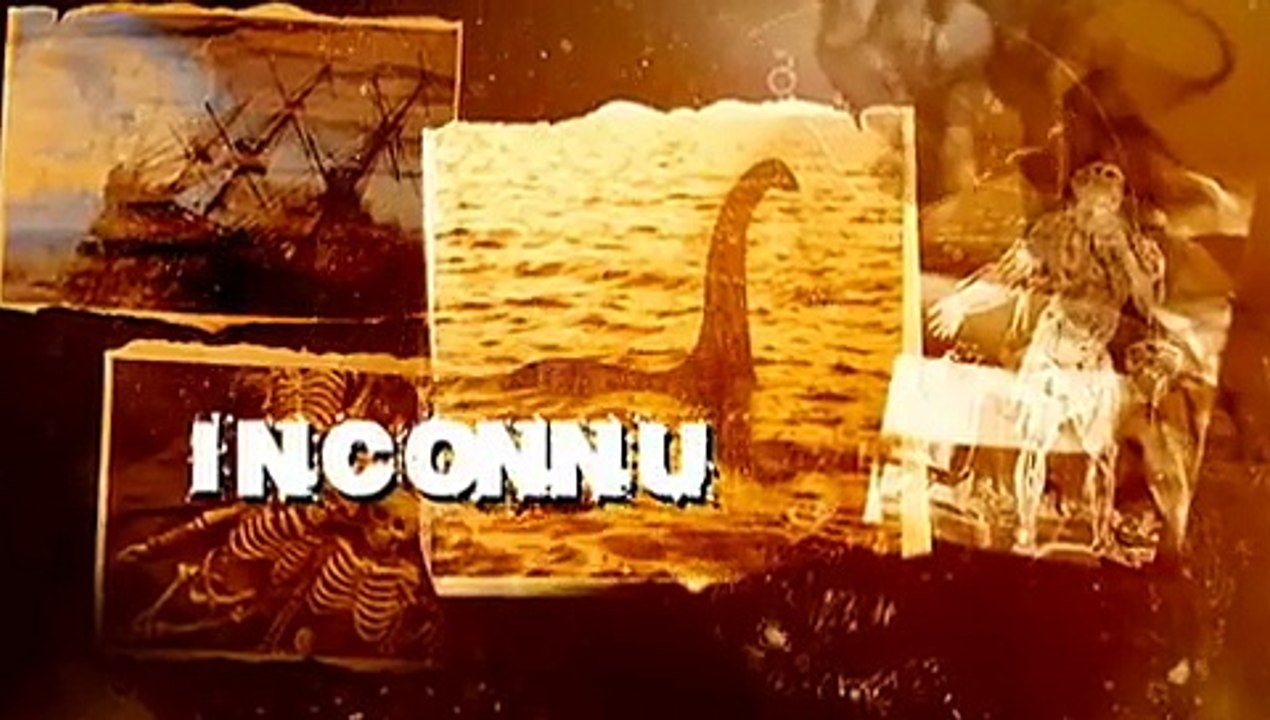 Bizarre ou quoi  [VF] - S01E10 - saison 1 - épisode 10 - [FINAL] (version internationale