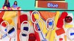 Blue is the color of the Day Children's Song _ Learn Colors _ Counting _ by Patty S