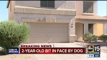 Two-year-old expected to be OK after dog bit in San Tan Valley