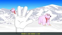 Finger Family Bear Family Rhymes _ Animals Cartoon Finger Family Rhymes for Children-3