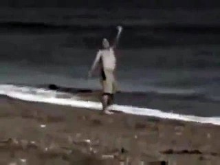 Touriste dévoré par un orque