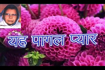 यह पागल प्यार Yah Pagal Pyaar