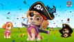 Baby Learning Songs! Paw Patrol Transforms Into Pirates, Finger Family Nursery R