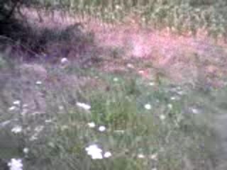 Cote puygue en scoot^^