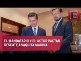 Peña Nieto y Leonardo DiCaprio acuerdan proteger a ecosistemas marinos
