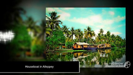 Top travel attraction in Kerala
