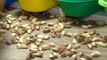 Bolivia: Nut shortage forcing families into poverty
