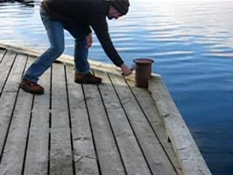 Comment tuer un poisson !