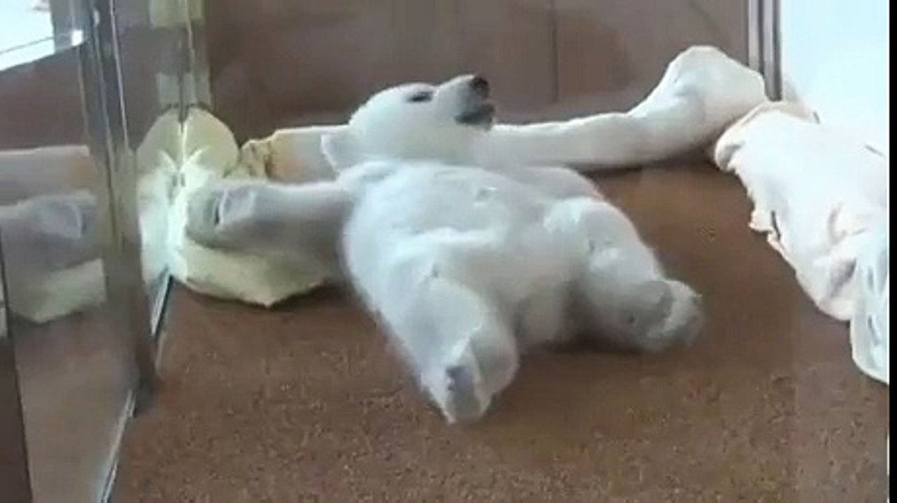 Mrw I'm drunk and have to get up for work