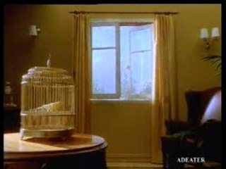 La fenetre de la belle mere