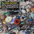 26.Pacific island covered by tonnes of plastic waste