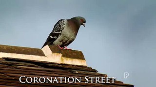 Coronation Street Episode 47 Part 2 3rd March 2017