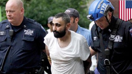 Dude tries to chillax with birds, gets into standoff with NYPD