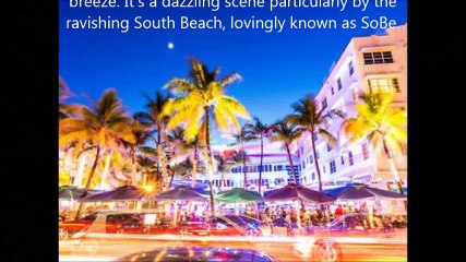 Vacationing in Miami