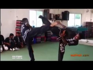 SEN TEMPLE THEME 1 : LE WUSHU