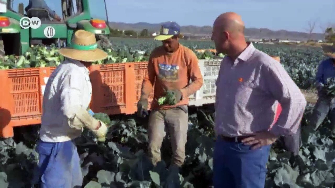 Spaniens Sonnensteuer ruiniert Solarbetriebe | Fokus Europa
