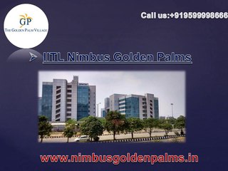 Nimbus Golden Palms  Serene Homes