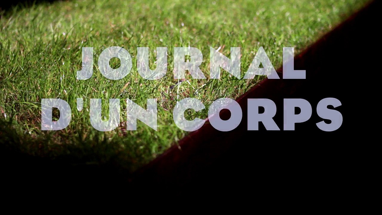 Journal d'un corps