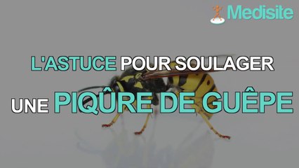 L'astuce pour soulager une piqûre de guêpe