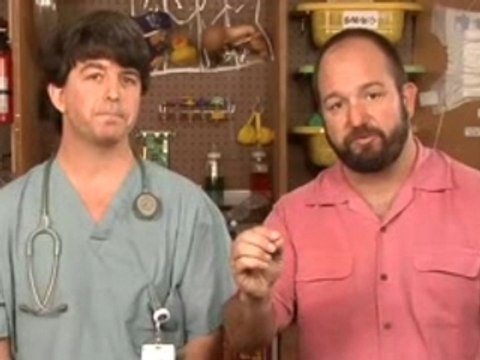 DadLabs Ep. 40 The Lab Avoiding Heat injuries