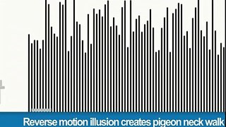 320.Reverse motion illusion creates pigeon neck walk