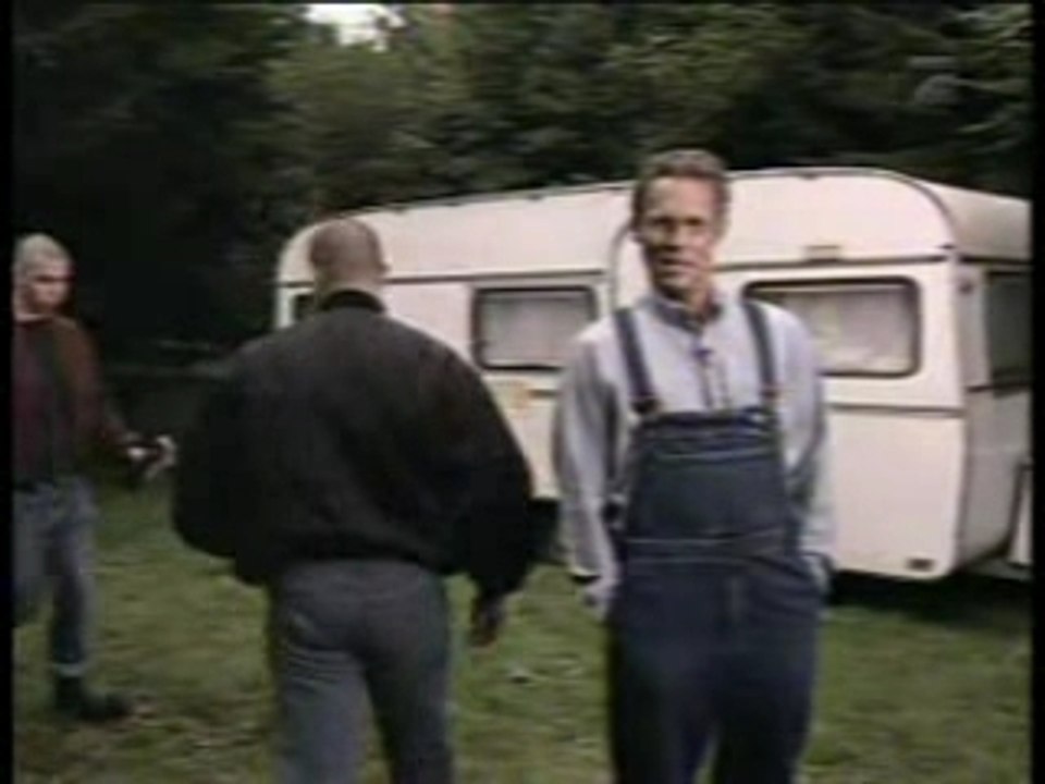 Löwenzahn - Skinheads