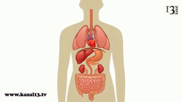 mübe-erak ramedaen sıye-em sawm oruç ayında sıye-em sawm oruç tutmak sağlıkdır şife-eadır