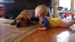 Cute Dogs and Babies Crawling Together - Adorable babies Compilation-IE