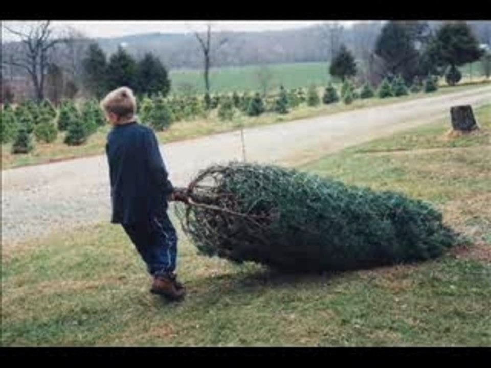 Get Real This Christmas Video Contest