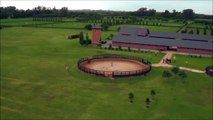 Horses for Kids - Drone Horses Video - Farm Animals Fun