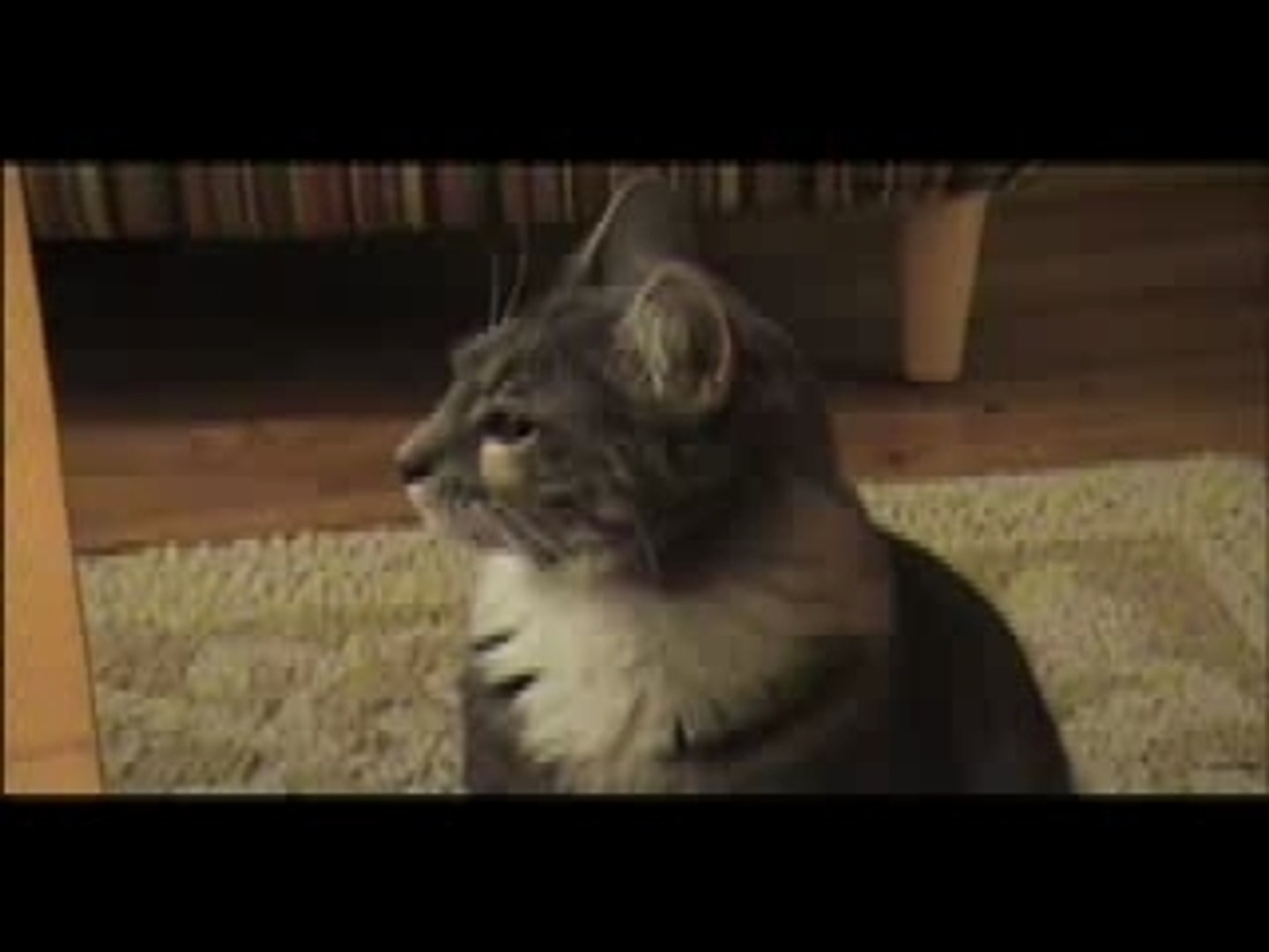 Drama Prairie Cat - Shoes of a Beast Remix