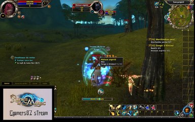 Runes of Magic simple leveling 10-20 lvl