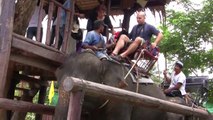 Artur and Galina on Elephant in T