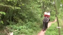 Riding Elephants in