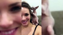 Sphinx Cats  Funny Hairless Cats Playing [Epic Laugh