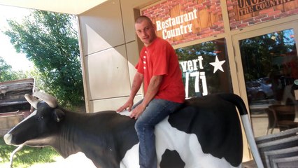 nouvelle façon de faire de l equitation