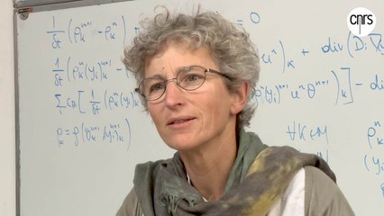 Raphaèle Herbin, des mathématiques à la sûreté nucléaire